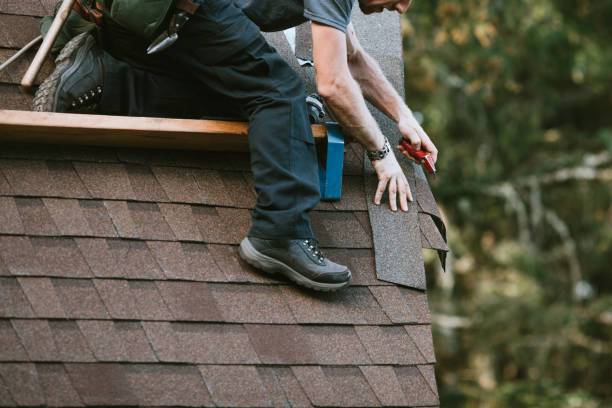 Best Roof Gutter Cleaning  in Arnold, CA